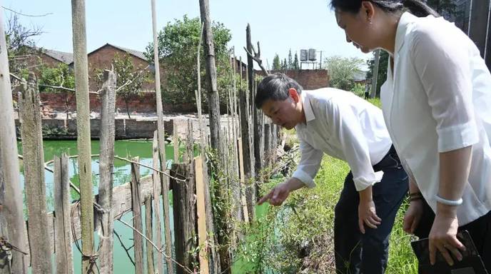 部长调研，现场取样检测