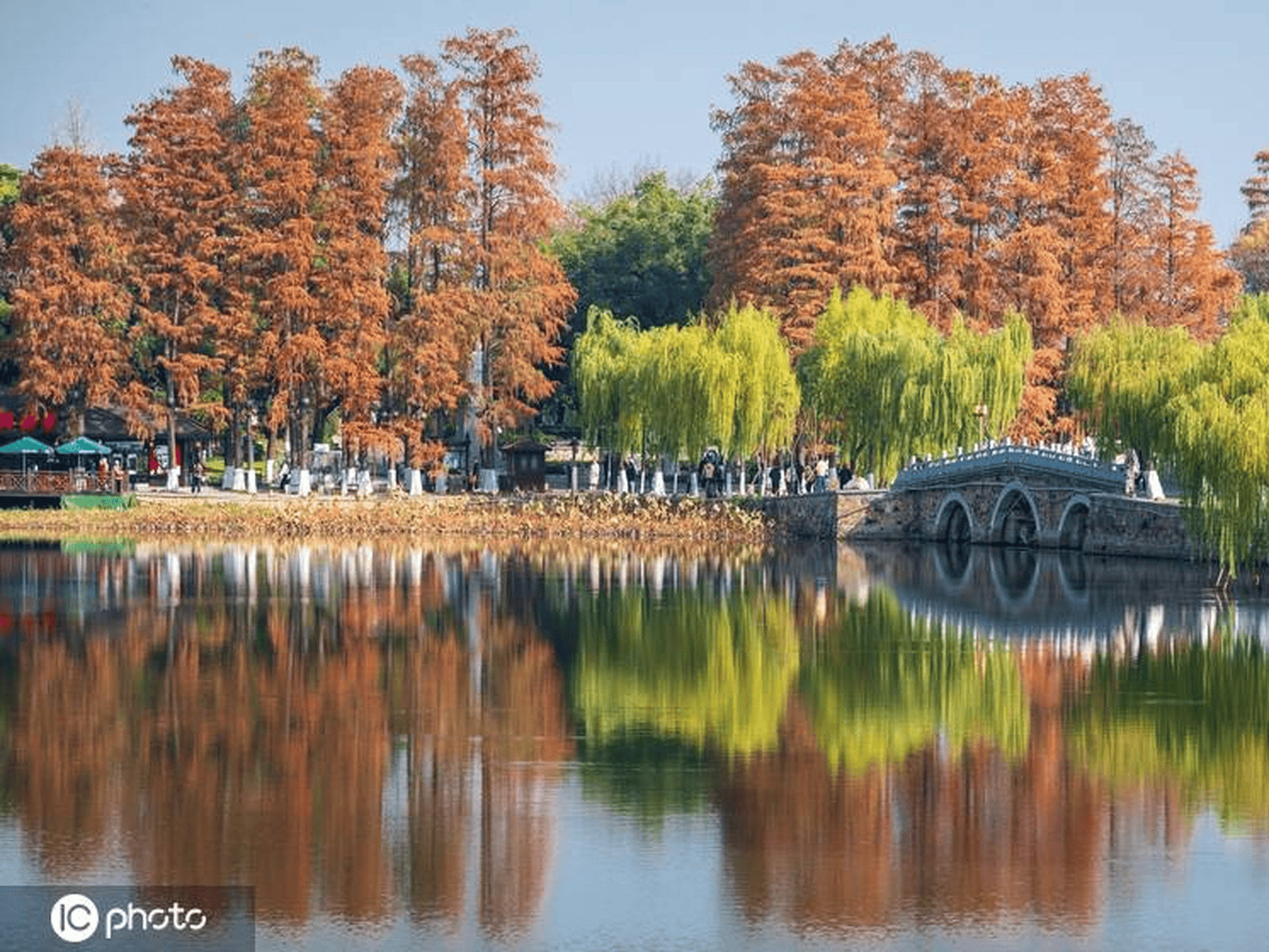 武汉:初冬暖阳 东湖风景区色彩斑斓风景怡人