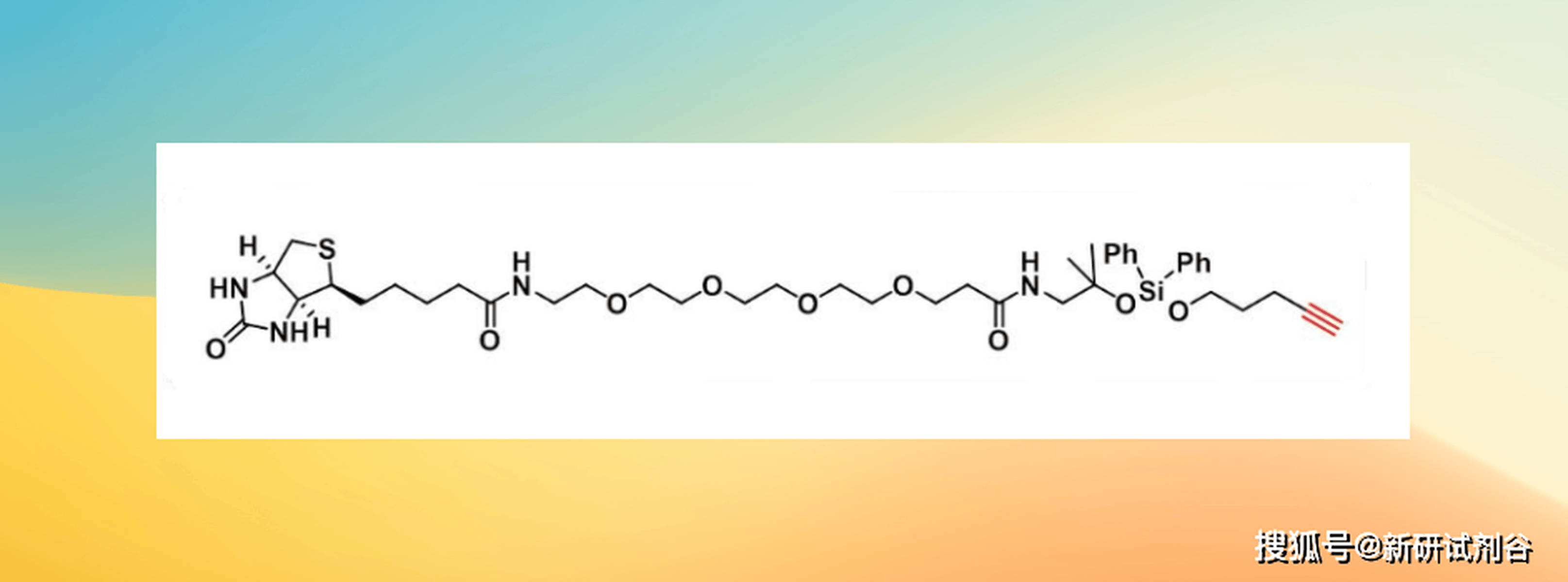 DADPS Biotin Alykne,2241685-22-1可用于生物分子标记和蛋白质组学研究