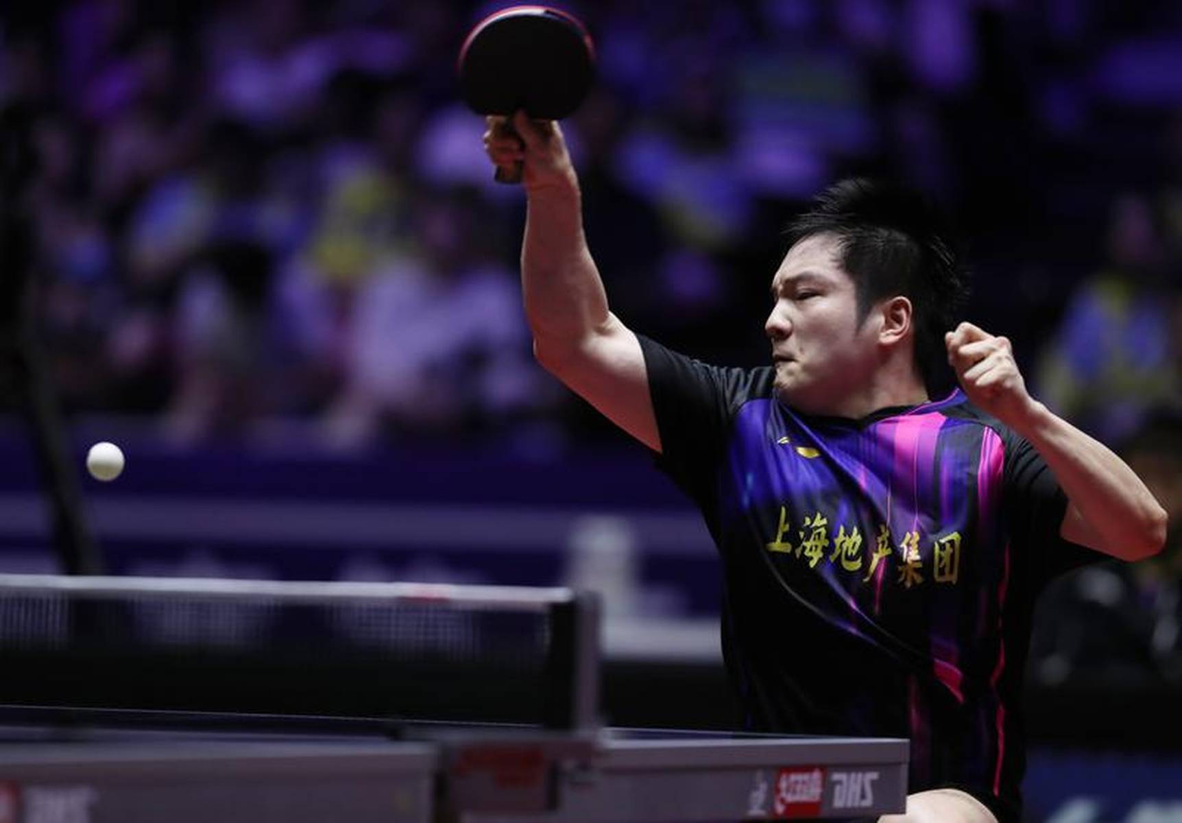 上海3-0汕头樊振东横扫陈垣宇 正手大力回球