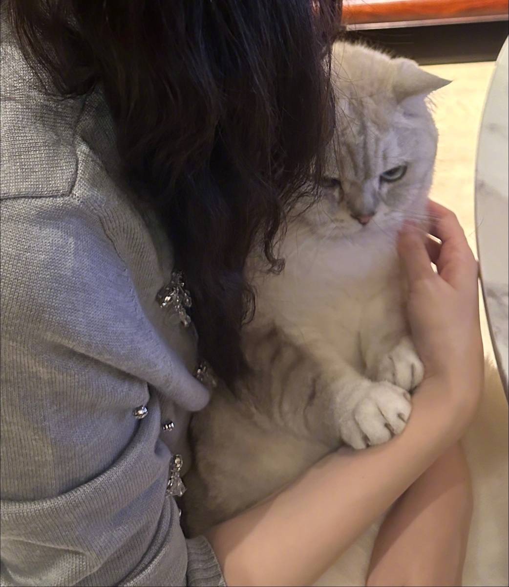 陈瑶晒居家好意思照！抱着猫咪自拍露祥和笑貌可儿迷东说念主