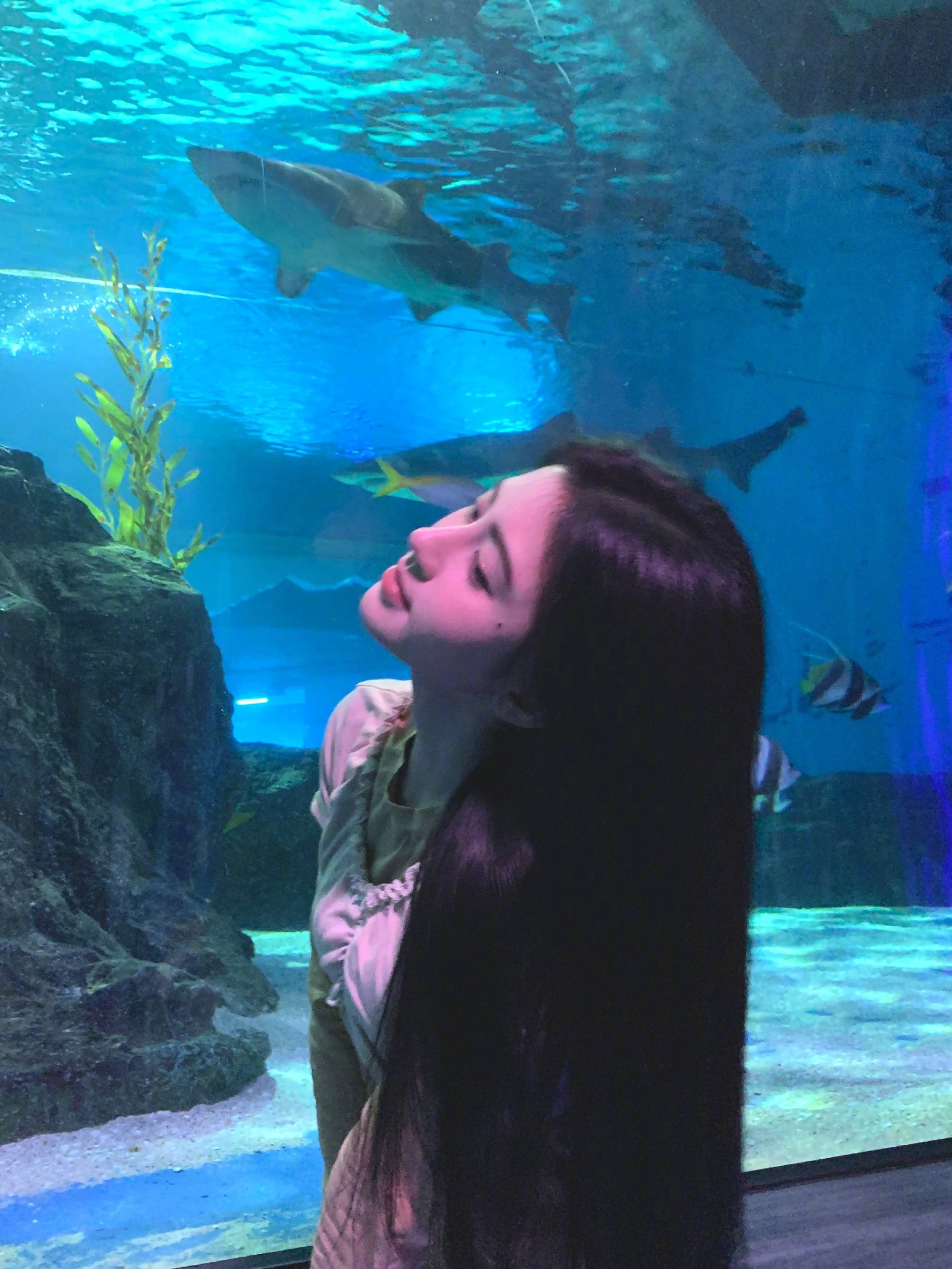 鞠婧祎晒生活随拍照！逛海洋馆与鲨鱼合影心情好