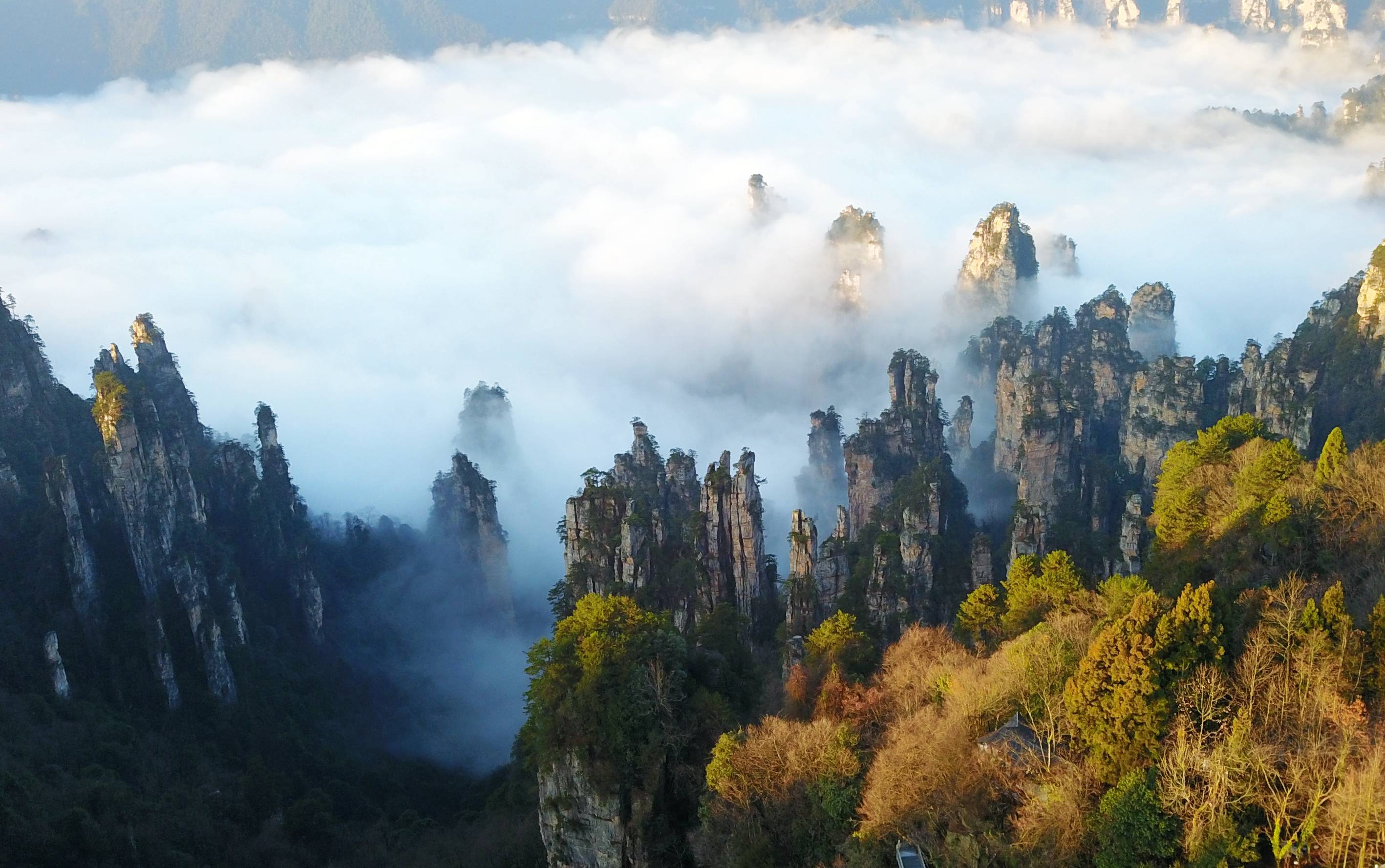 张家界山峰图片大全图片