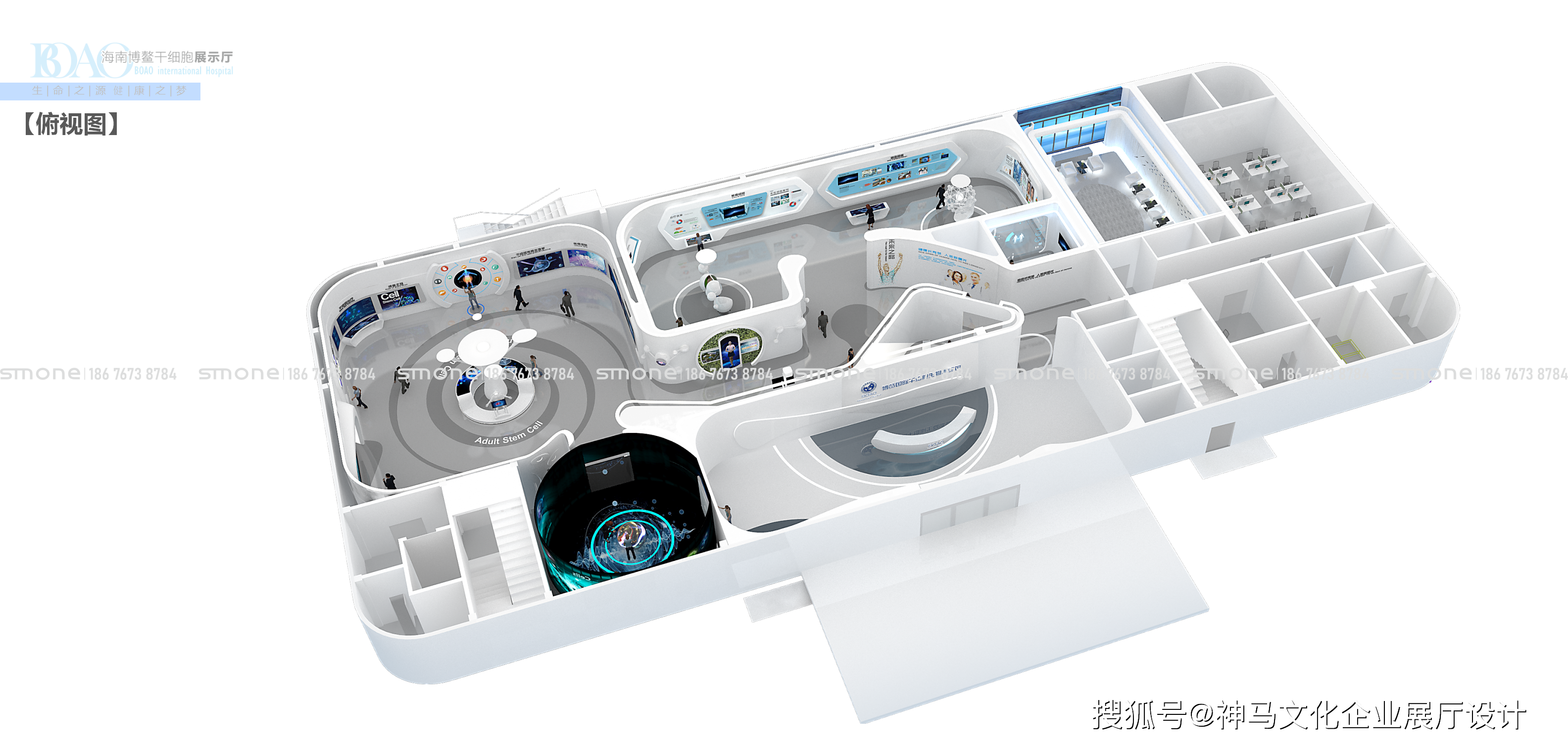 色彩搭配 选择与干细胞科学