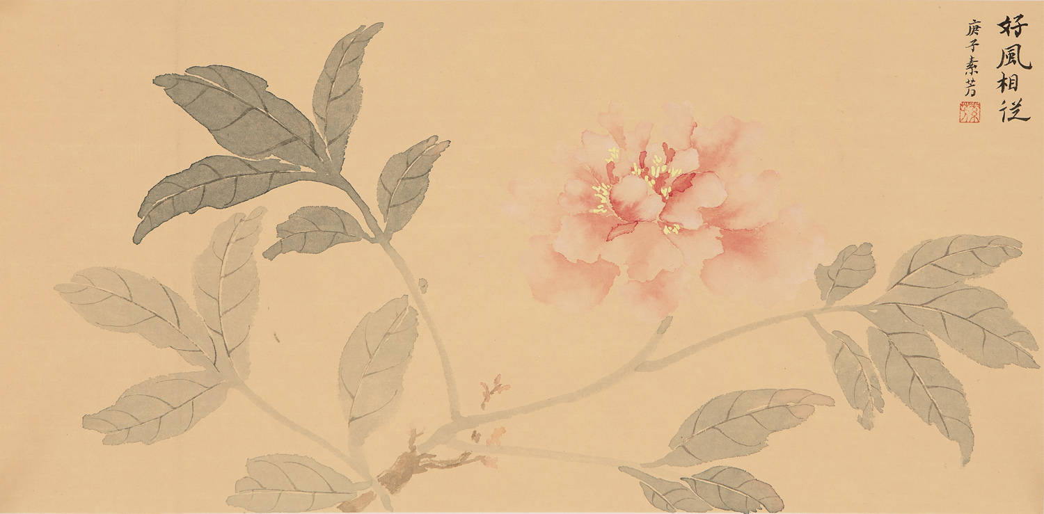 赵素芳老师:淡雅优美画作,艺术水平极高-搜狐大视野-搜狐新闻