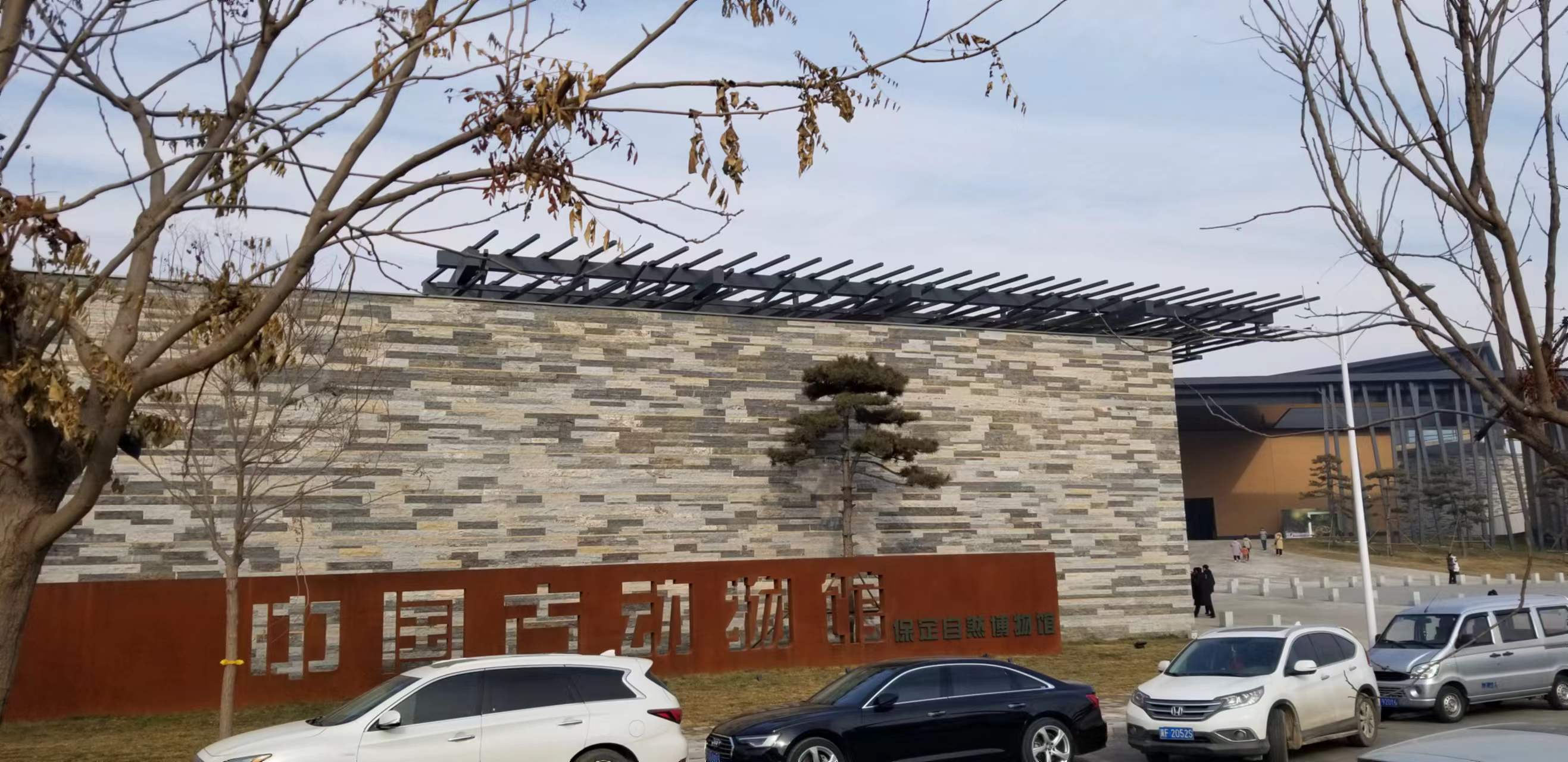 博物馆是由保定市人民政府和中国科学院古脊椎动物与古人类研究所携手