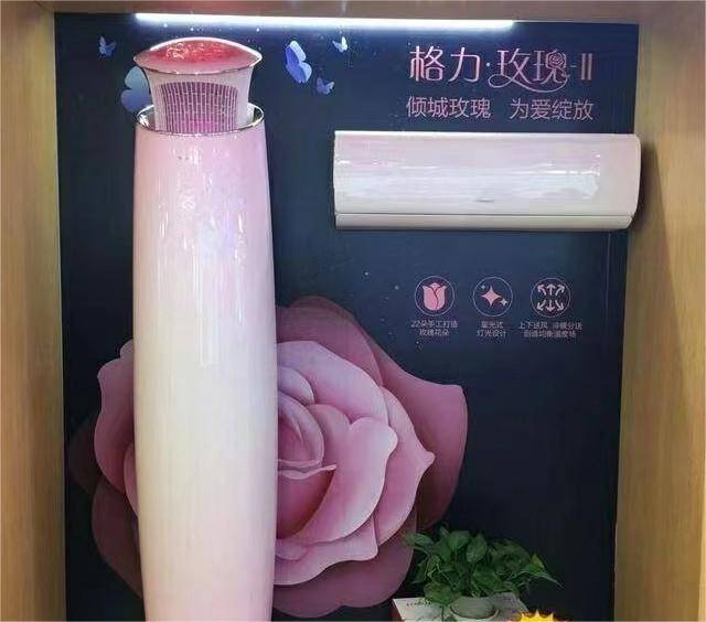 "又丑又贵",被网友疯狂吐槽的格力玫瑰空调是谁在买?