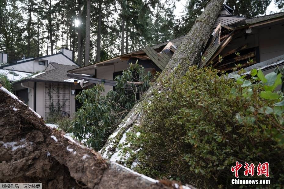 美国遭遇大规模冬季风暴 多地迎来恶劣天气 搜狐大视野 搜狐新闻 9087