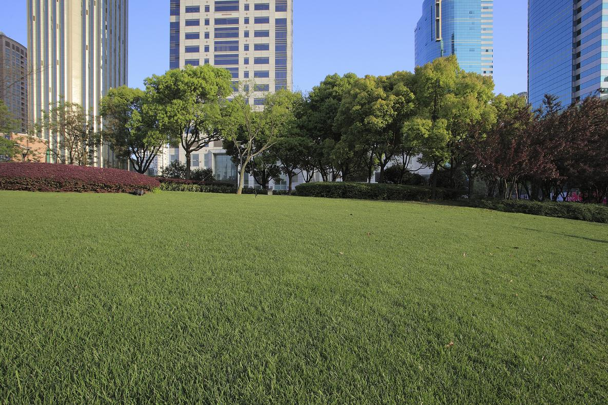 市政工程人造草坪:优化城市景观,改善居民生活环境_进行_可以在_质量