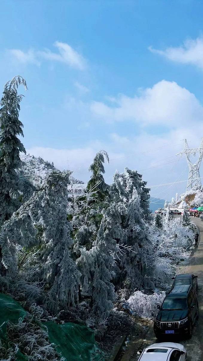 桂林资源县迎来2024年第一场雪_雪景_雾凇_资江