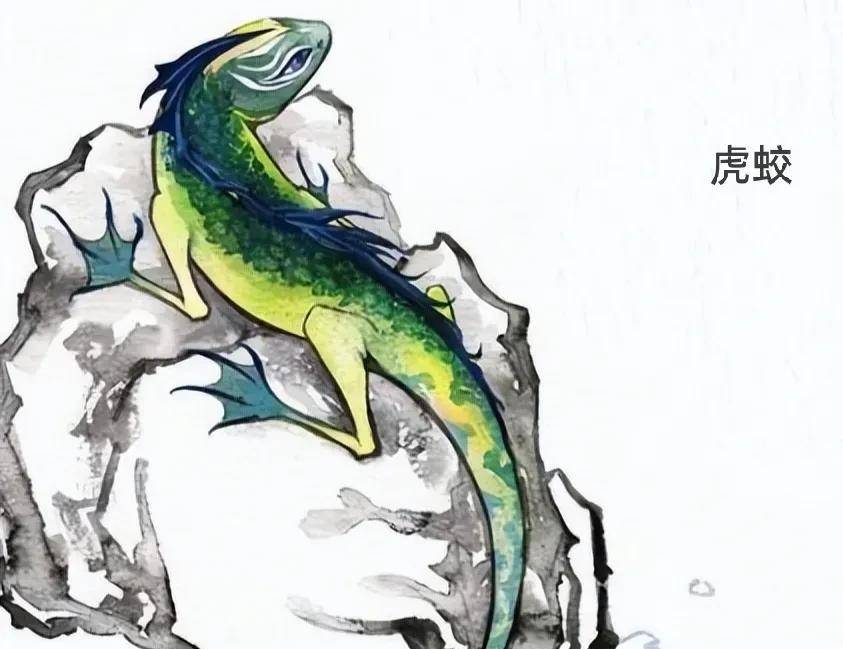 你知道古代传说中的"发蛟"是什么吗?_洪水_生活_人们