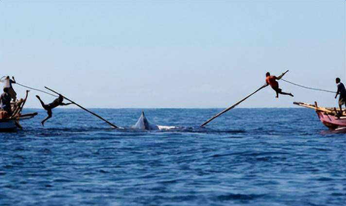 从约克半岛土著民的发展历史,探究移民和澳洲原住民