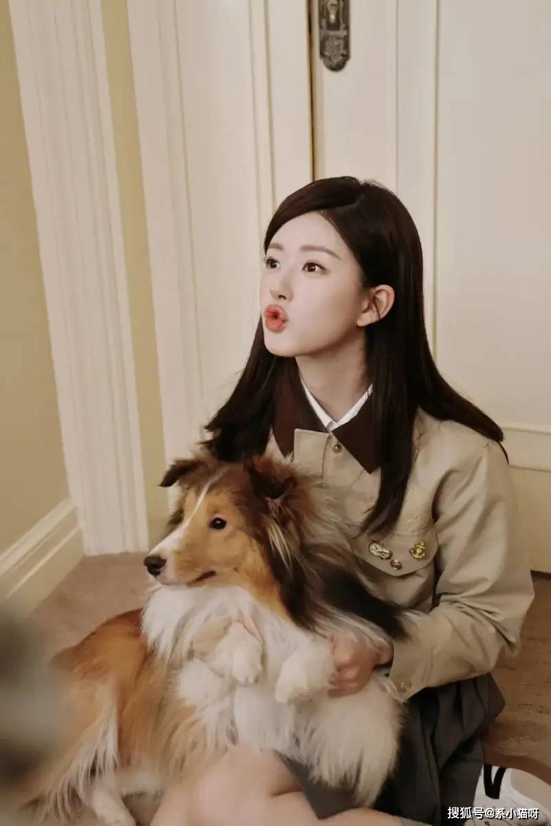 赵露思秋日清纯妆容曝光 网友直呼惊艳_狗狗_互动_小熊