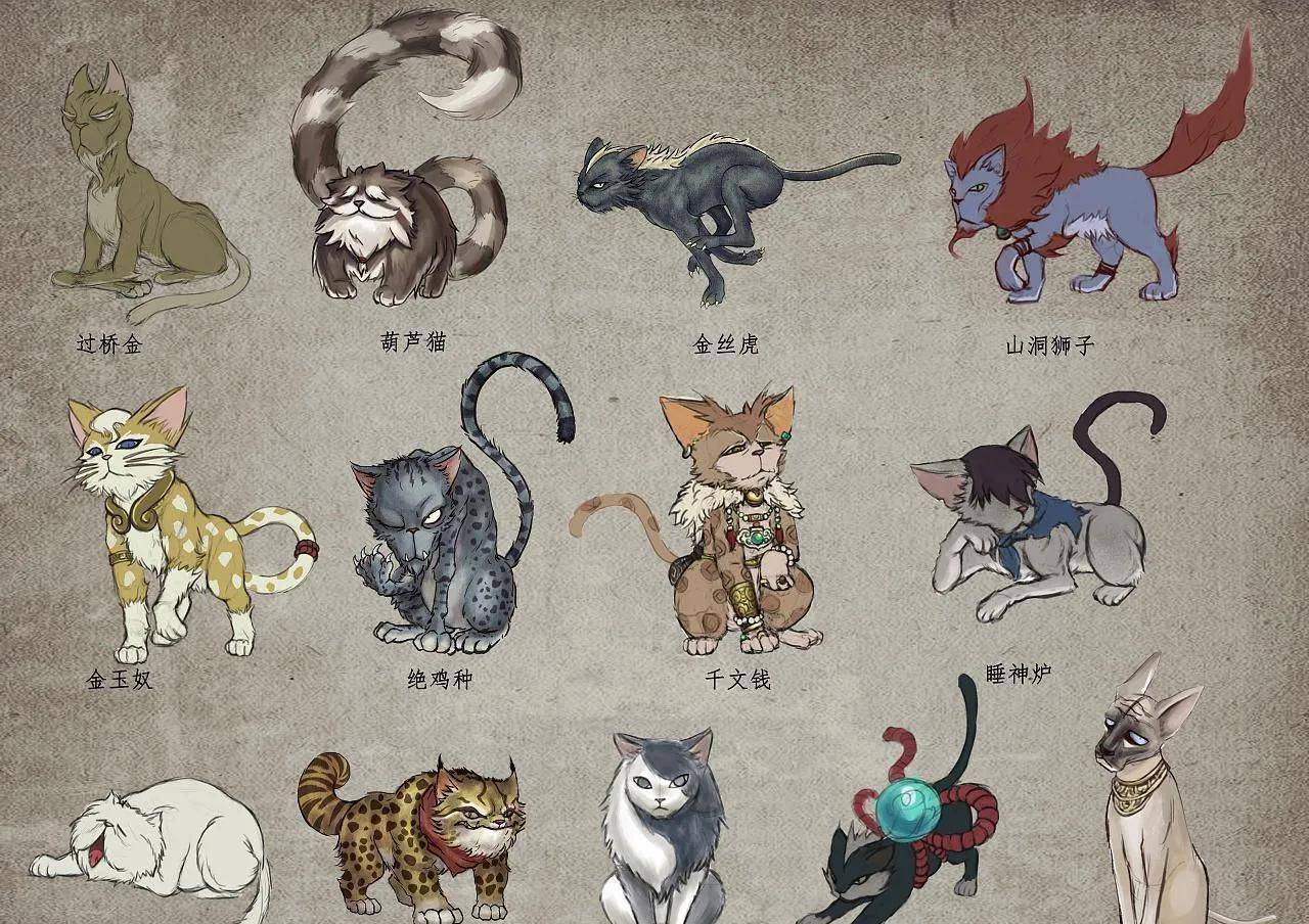 《贼猫》中的灵猫:四耳花猫,金玉奴,金丝虎,葫芦猫,长面罗汉_公子
