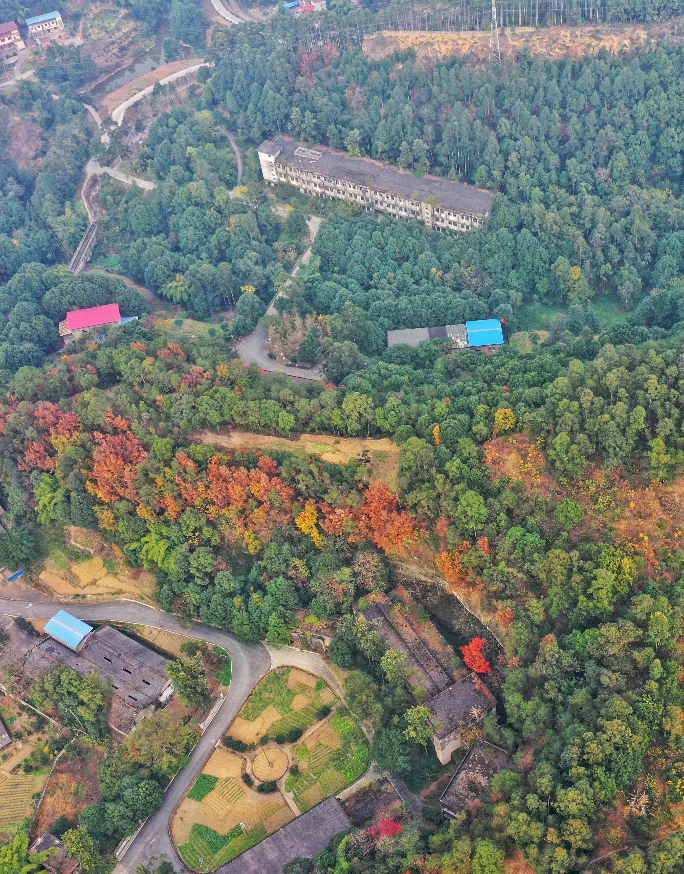 成都向南100公里,荒废的军工厂令人叹息