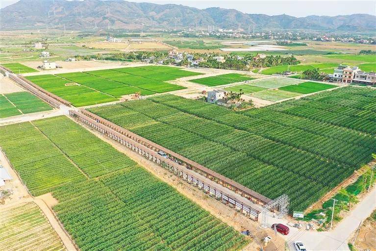 来到位于海南的国家南繁科研育种基地