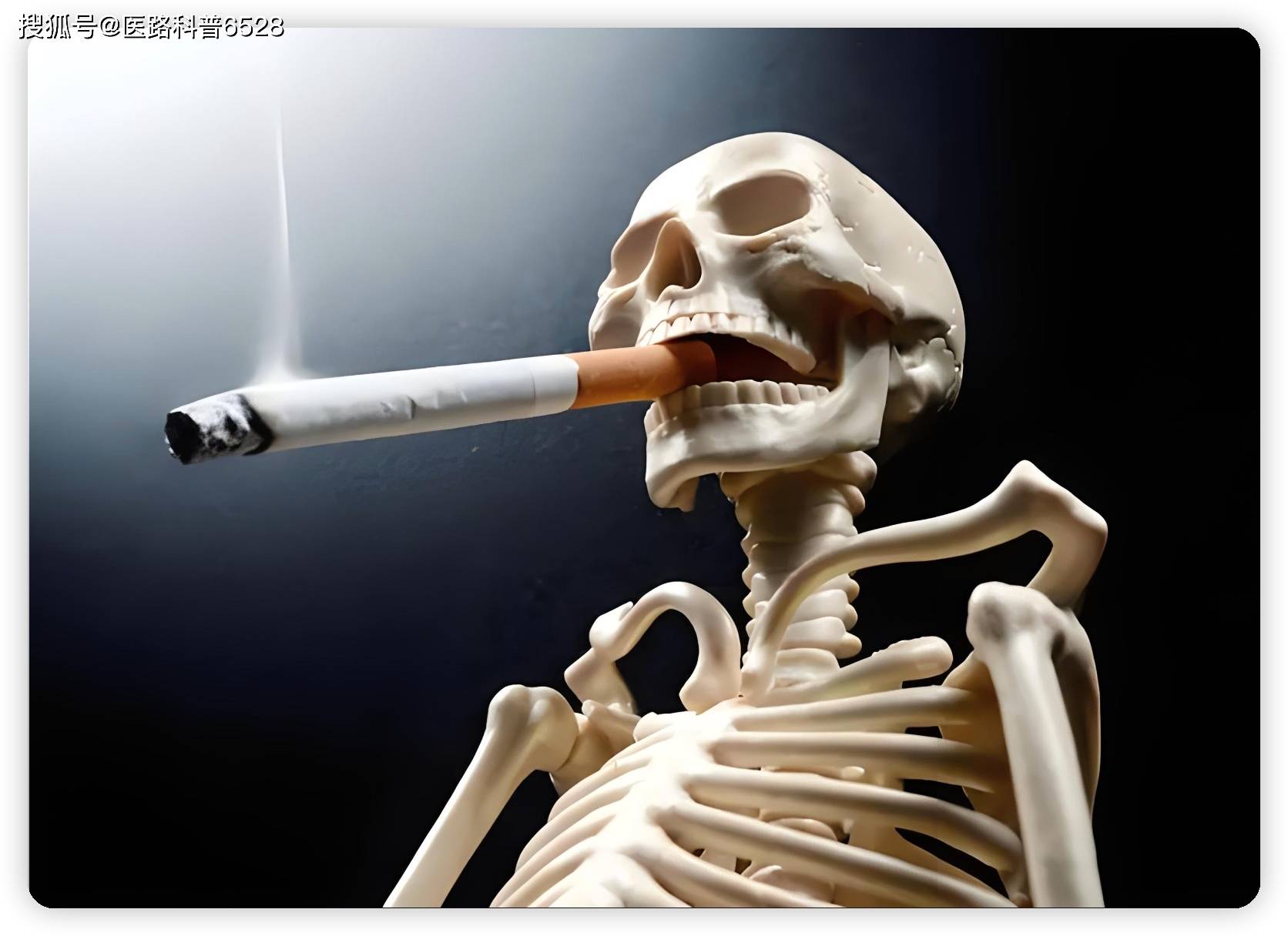 为什么不能吸烟?_风险_保护_对个人