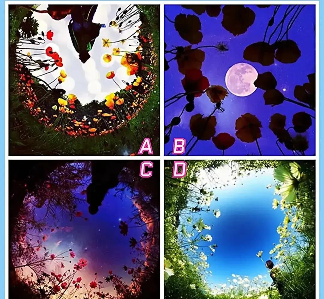心理测试: 测试出夜里谁会疯狂想你?4张照片哪张最寂静?
