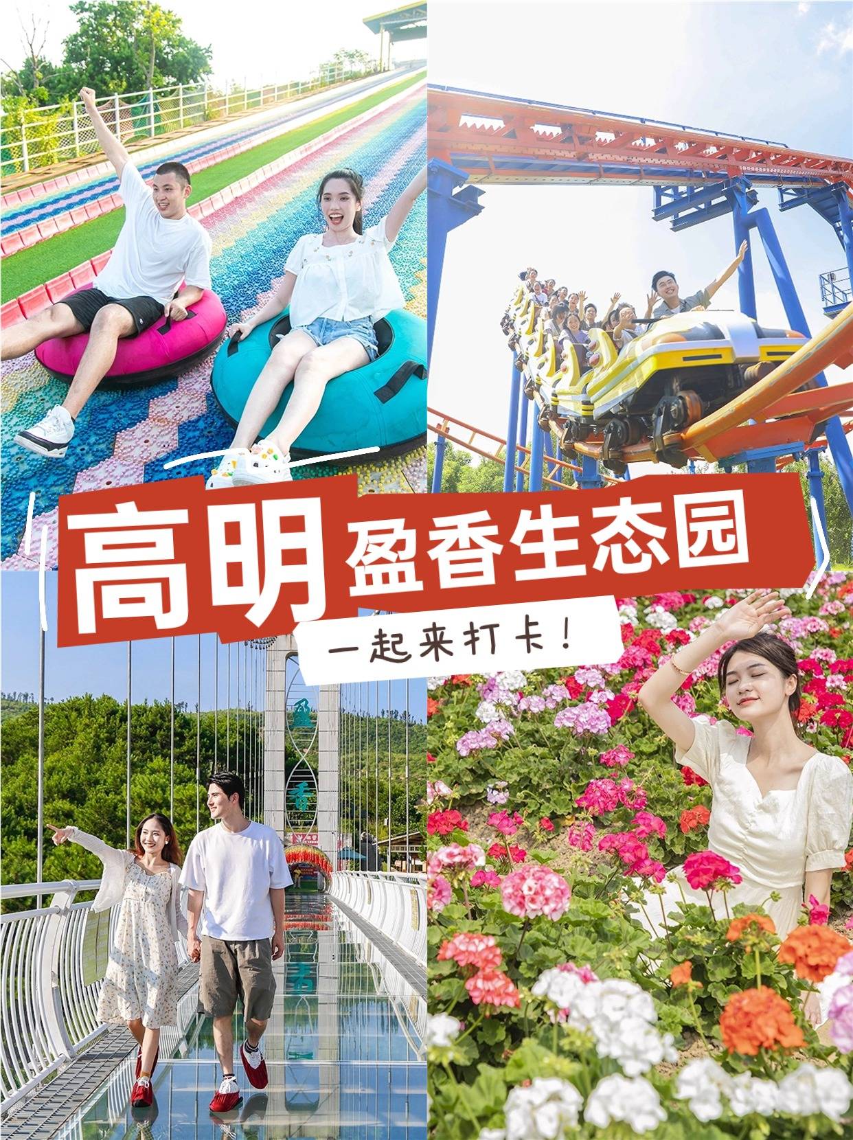 盈香生态园:盈香生态园的花海如诗如画,我们穿梭其中,仿佛置身于一个