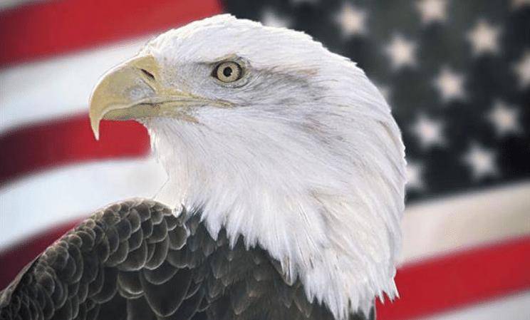 白头海雕是美国国鸟,绿雉是日本国鸟,那中国的国鸟是?