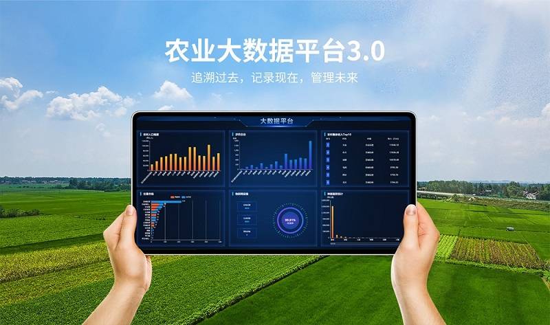 农业大数据平台推动传统农业现代化_农产品_管理_生产