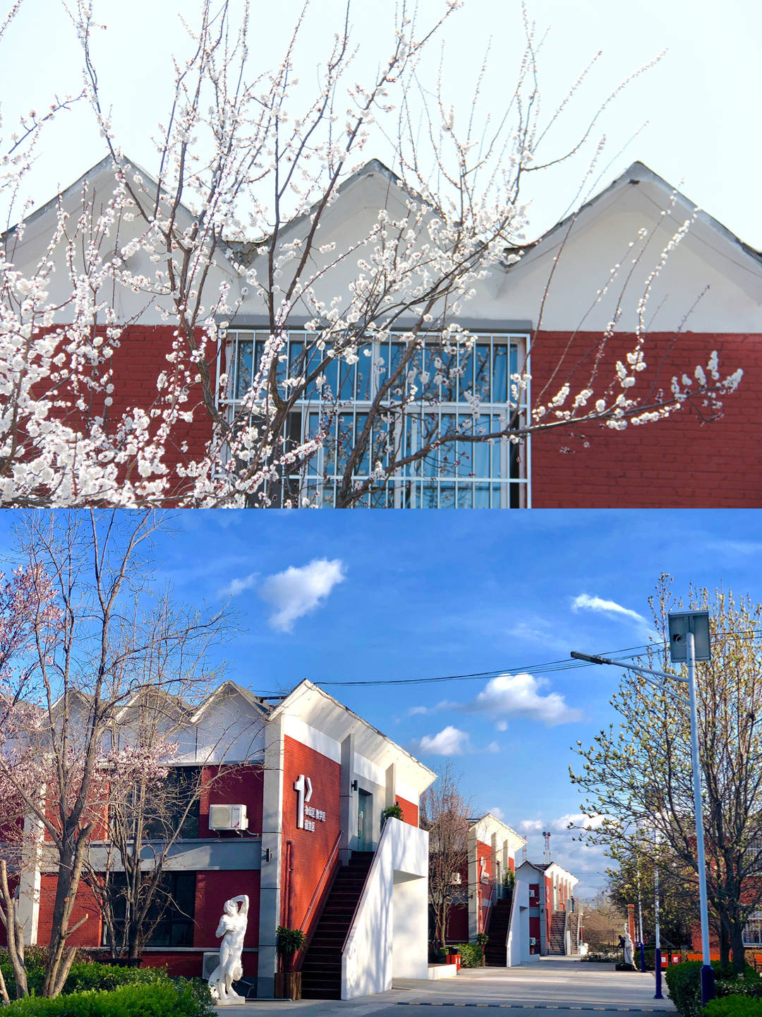 中国传媒大学,中国美术学院,吉林动画学院,浙江传媒学院,西安美术学院