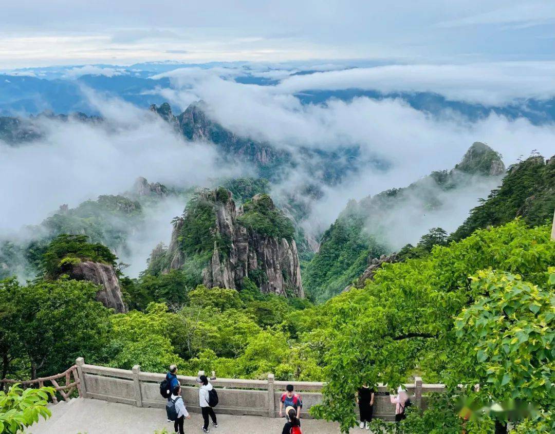 黄山自由行：探索大自然的奇妙之旅