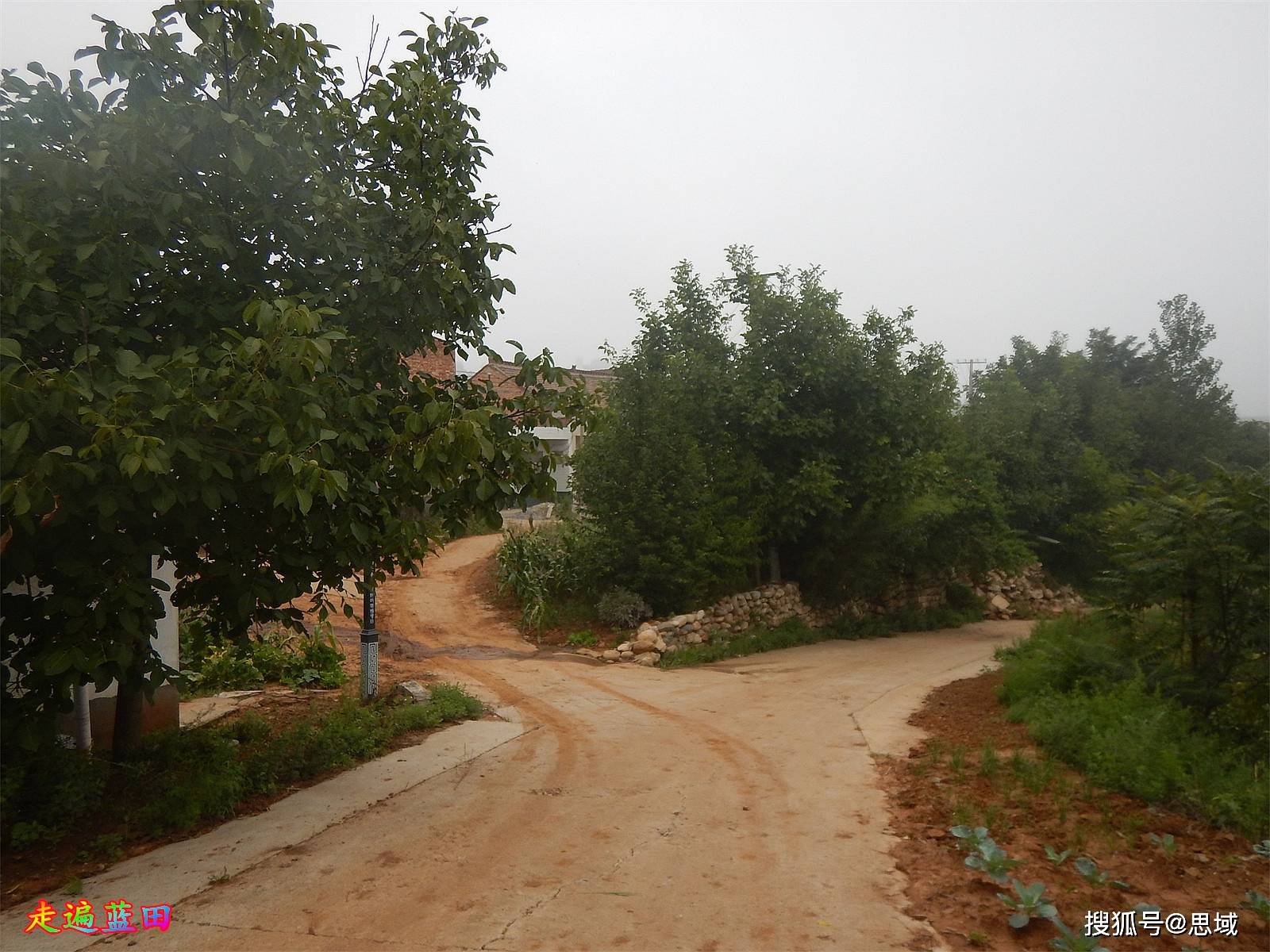 走遍蓝田,2022厚镇(水洼村)穿越旅行4._工作_天气_婚礼