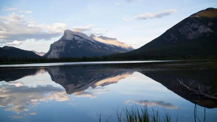 318招标医保基金监测服务竞争性磋商公告