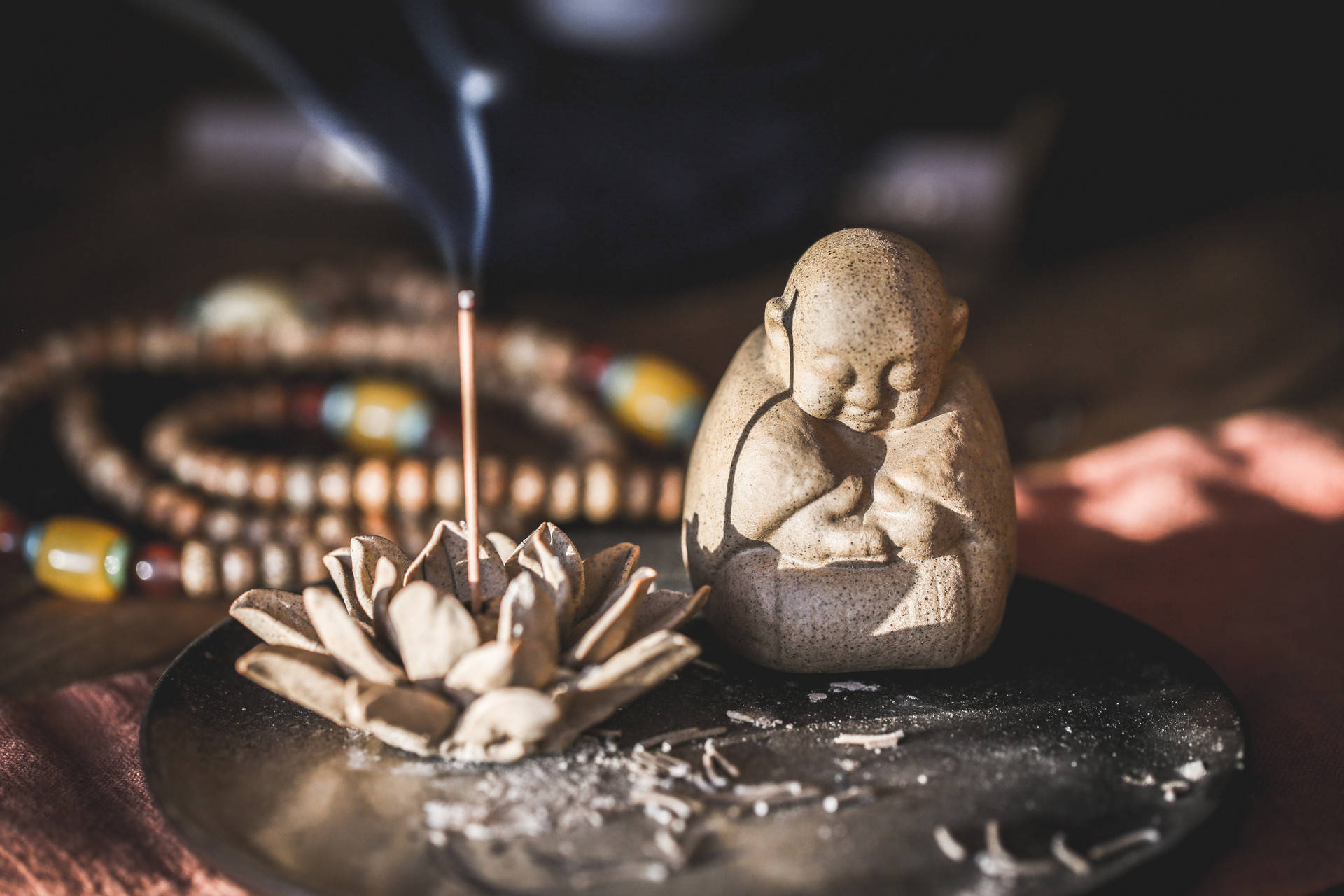 净食辟谷是如何清理身体"垃圾"的?_食物_污染_疾病