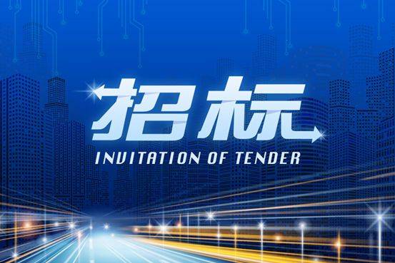 4月公告扎赉诺尔区路灯及智慧路灯管理大厅等运行维护项目竞争性磋商