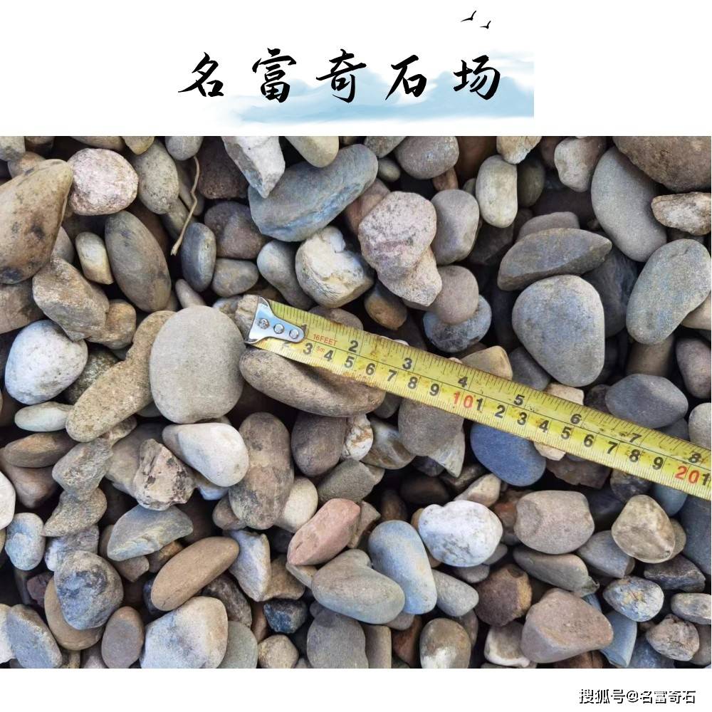 汕头鹅卵石园林造景风景石 铺路鹅卵石庭院装饰 广东鹅