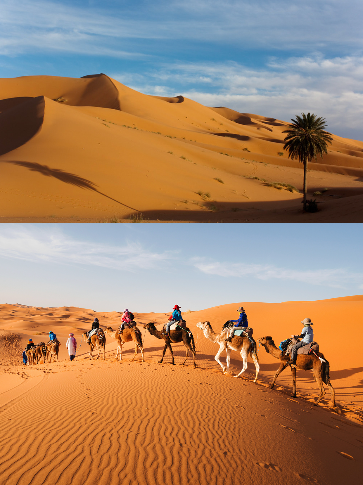 3-5月北非4国23天,阿尔及利亚,突尼斯,摩洛哥,西撒哈拉不可错过的绝美