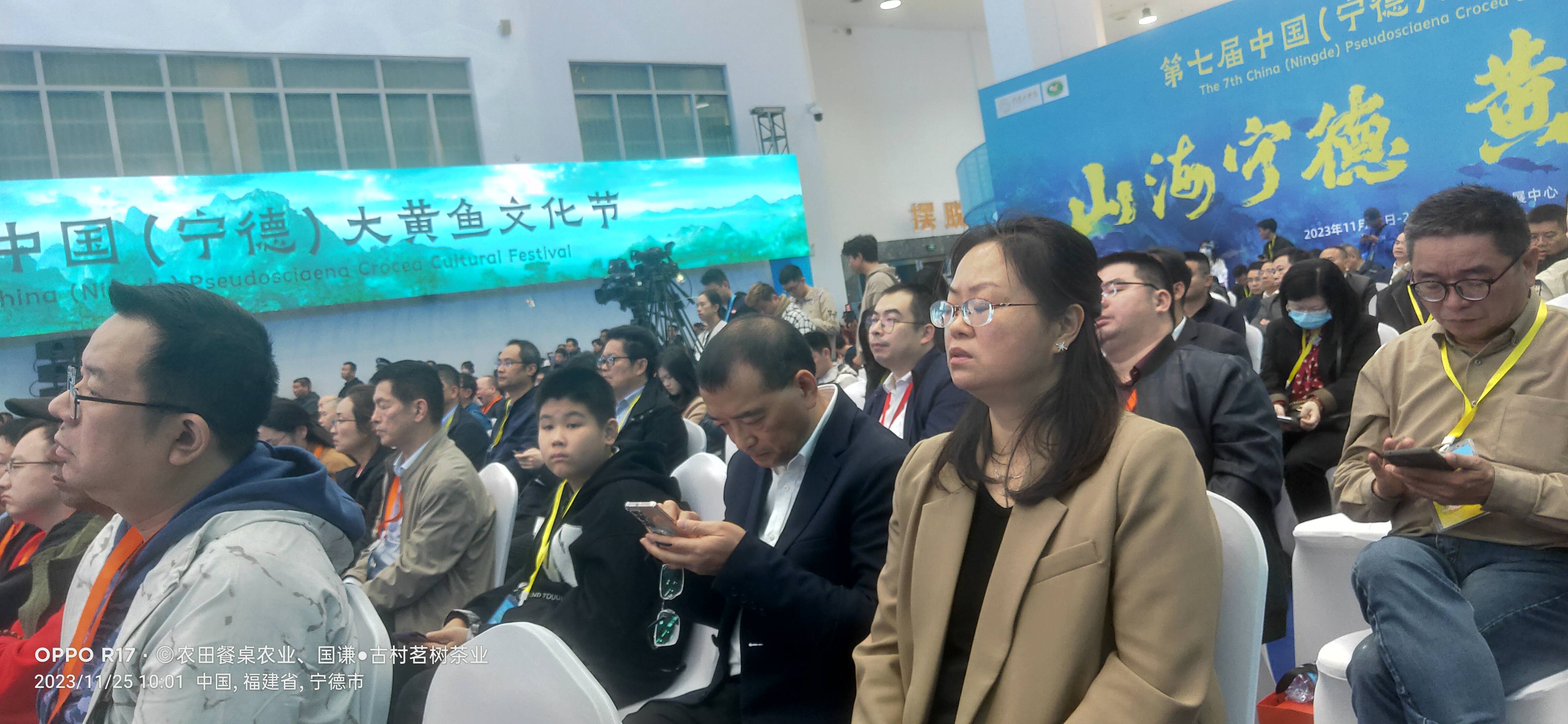 回顾福州普惠公益联合发起人吴正华在宁德大黄鱼文化节上与国际友人叙