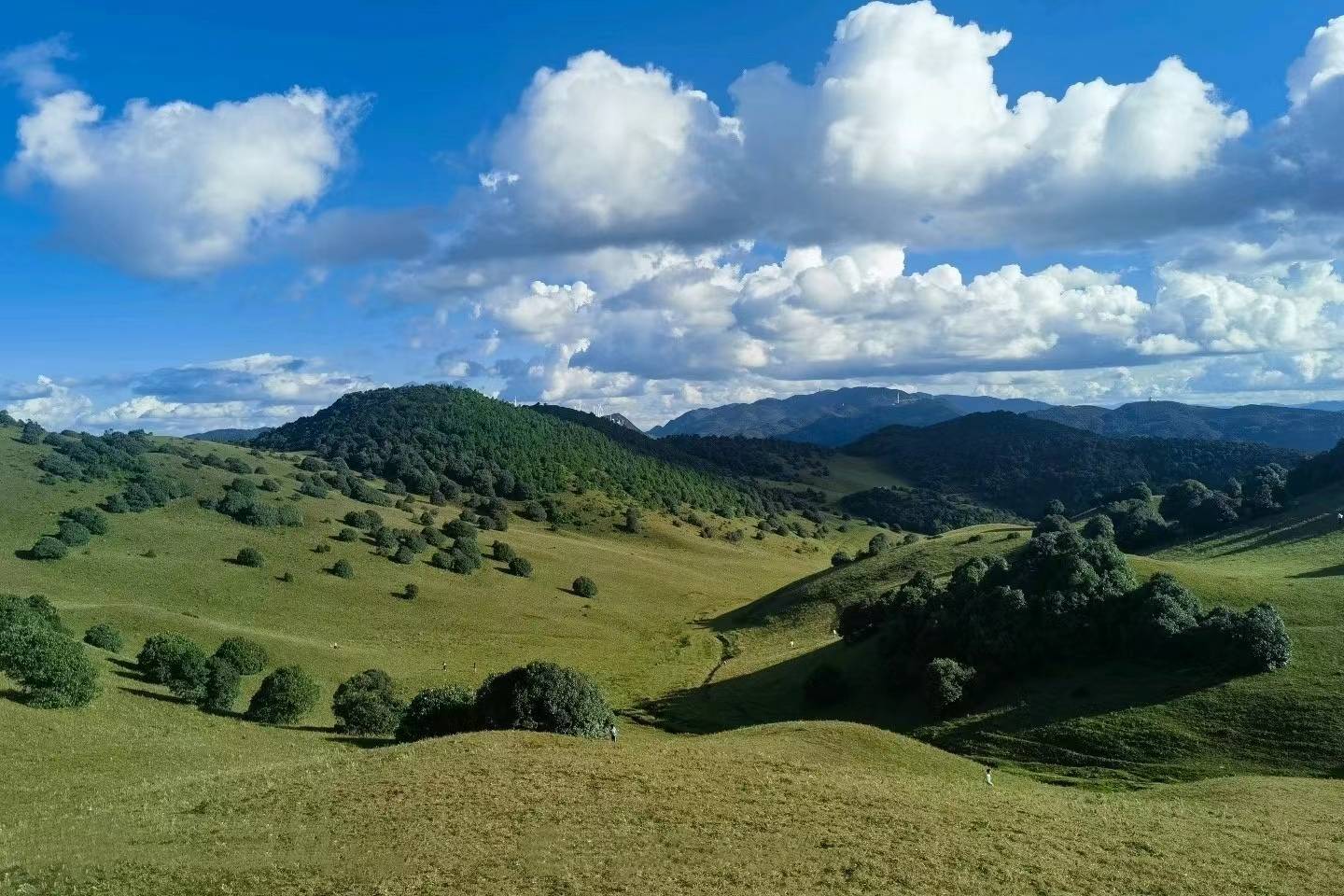 云南大理:高山草甸景点旅游大全