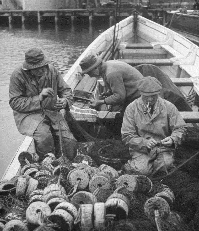 1943年,在缅因州海岸退潮期间,孩子们在潮汐池中寻找生物.