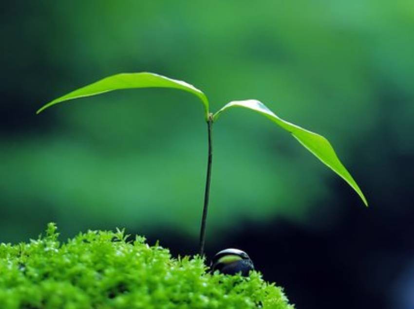 办理出境社的条件和流程_经营_国际旅行社_直接收购