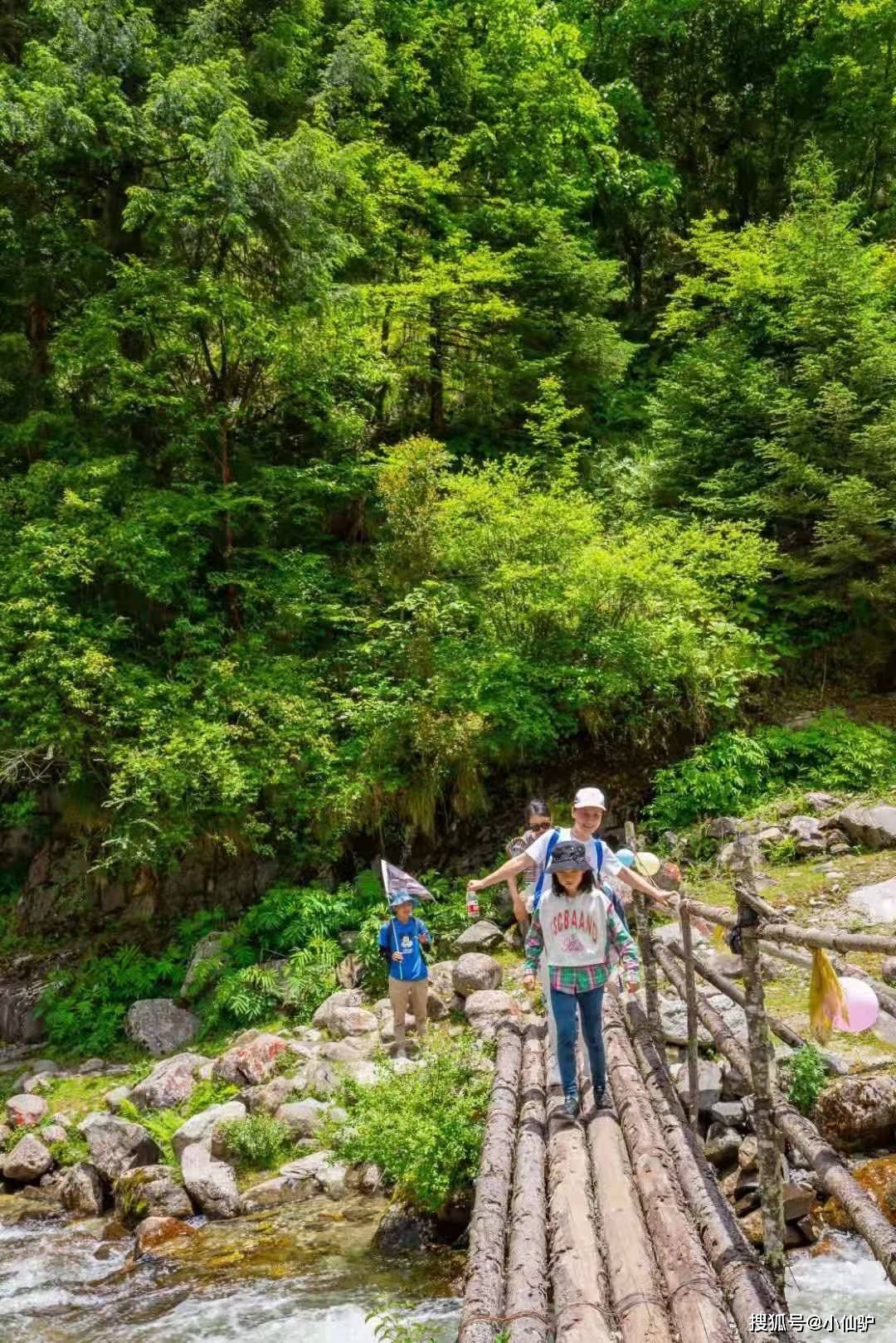 目的地3:三昧禅林穿越丹景山寺院深深,竹林悠悠,牡丹花特盛,与洛阳