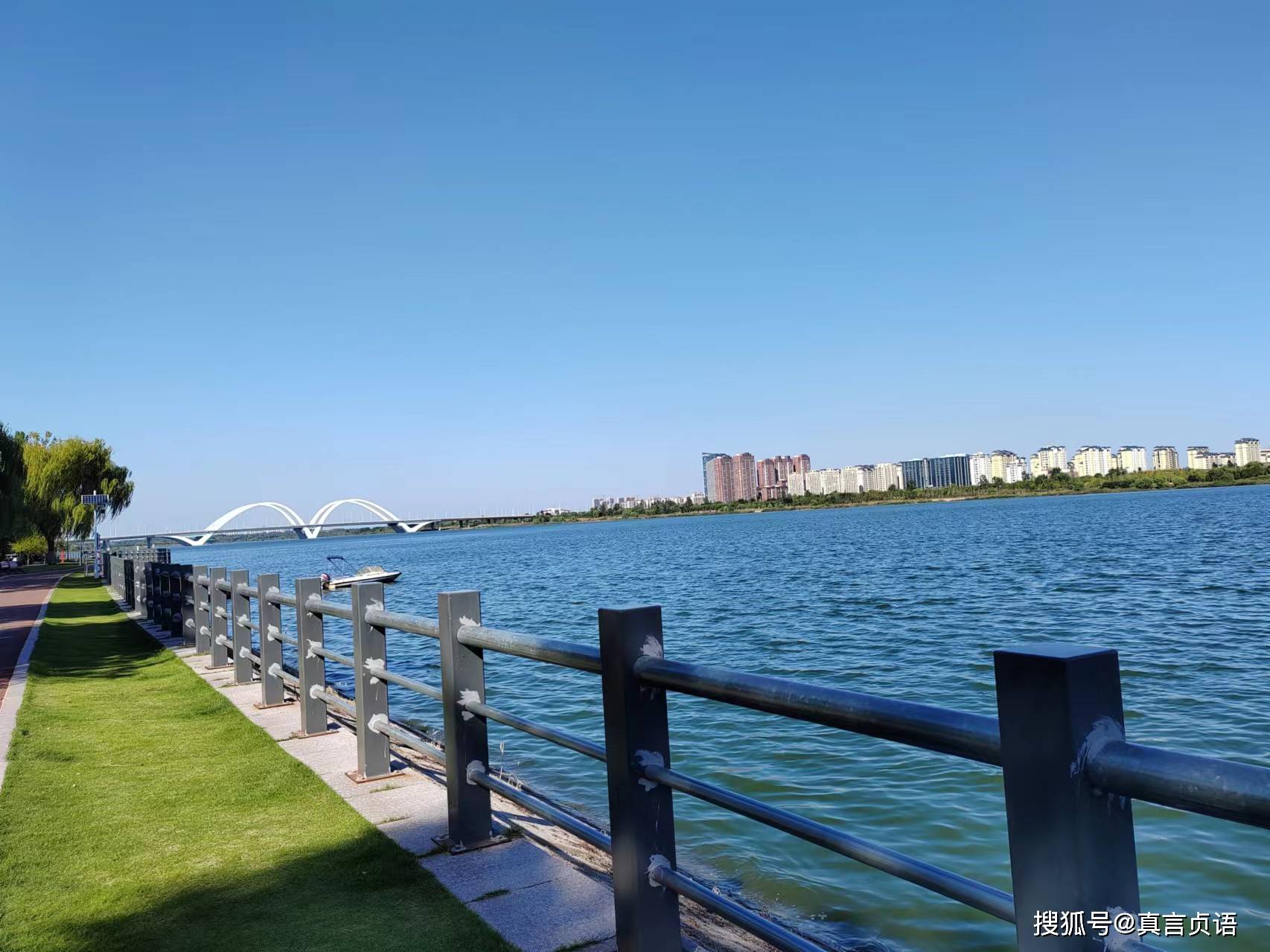 李玲原创丨大沂河(歌词)_山东省_临沂_协会会员