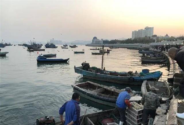 2019年山东蓬莱一黑社会覆灭:长期霸占海域,渔民缴费才能下海捞_曲