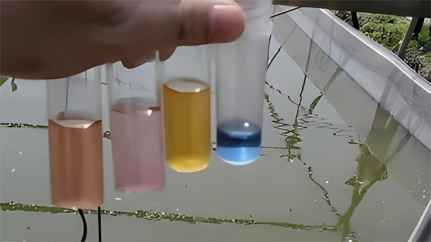 怎么快速解决虾塘ph过高?这招你必须知道_物质_水质_调整