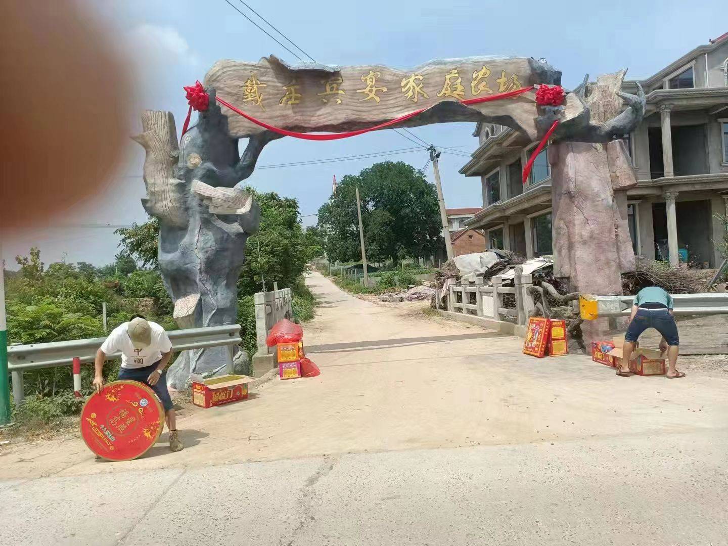 争先创优谋发展带领乡亲共致富乡村振兴奋斗有我巾帼返乡创业的典范