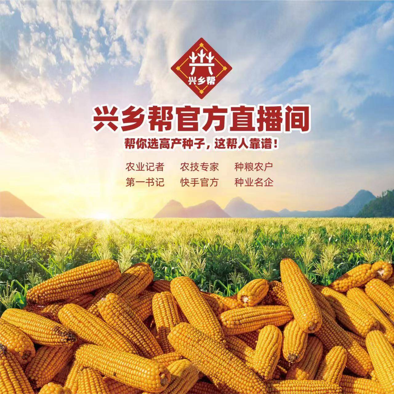 一年之计在于春,兴乡工作室(第一书记&三农记者直播间)三农记者侯森与