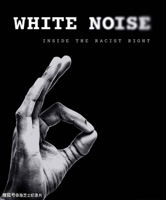 10316-美国纪录片《白噪声 White Noise 2020》英语中英双字 官方纯净版 1080P/MKV/1.46G 白人民族主义