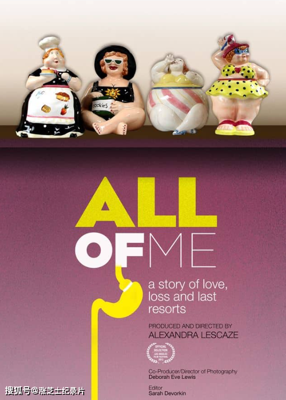 10357-美国纪录片《我的全部 All of Me 2013》英语中英双字 官方纯净版 1080P/MKV/2.99G 束胃减肥手术