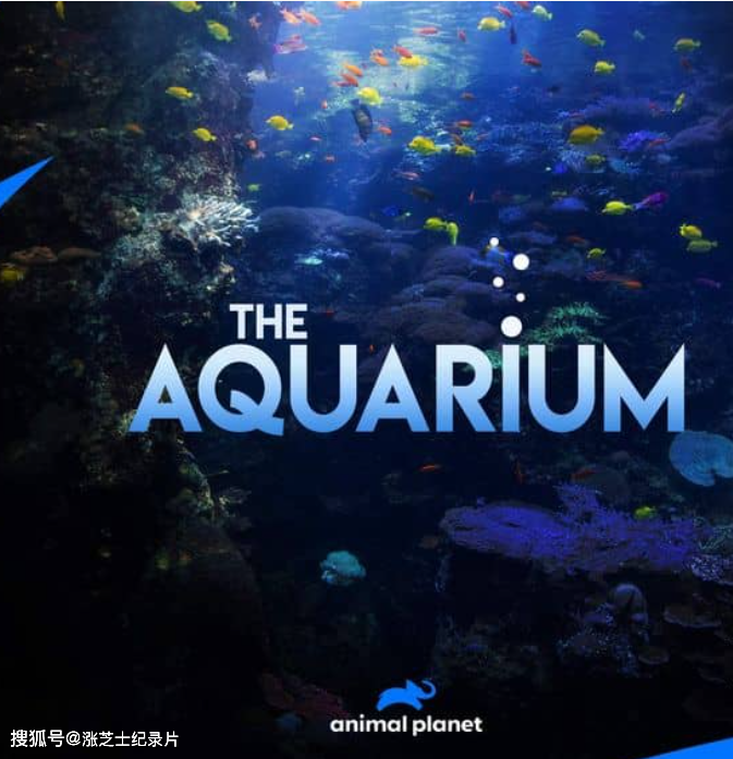 10366-探索频道《水族馆 The Aquarium 2020》第1-2季全18集 官方纯净版 1080P/MKV/50.4G 佐治亚水族馆