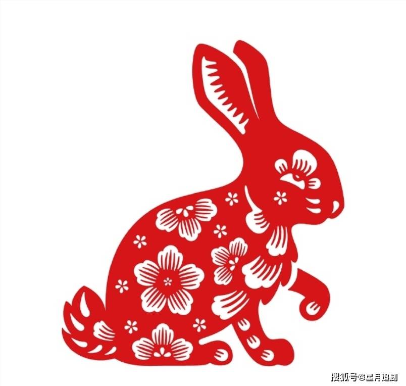 十二生肖一周运程提醒34310