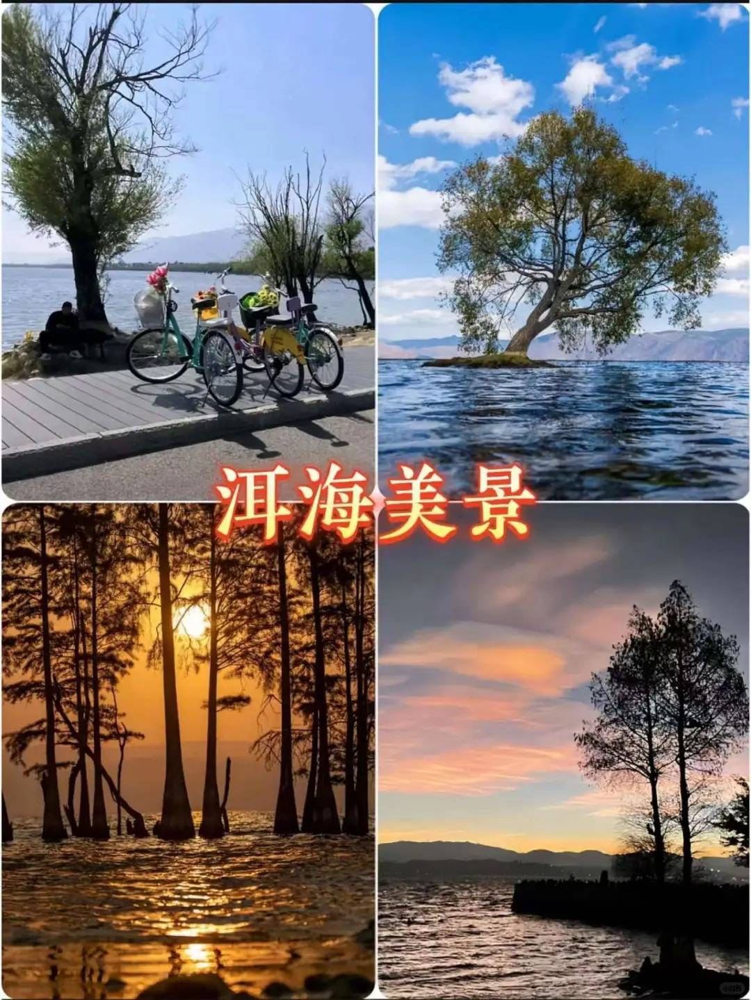 丽江_大理_导游
