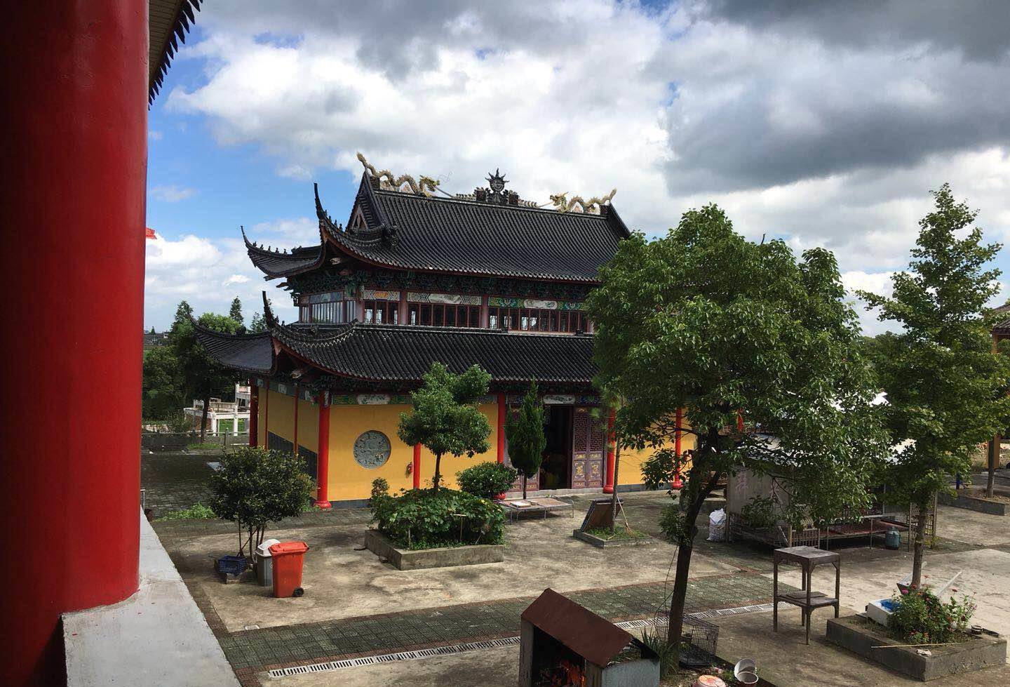 浙江猪王体重高达2200斤画家出5万也不卖死后高僧为其超度