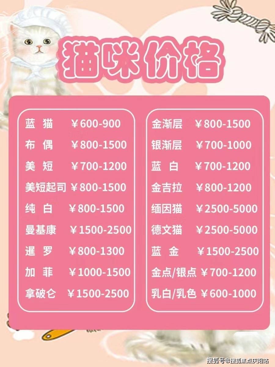 北京买边牧幼犬哪里比较安全北京买边牧幼犬这里安全可靠可实体店挑选